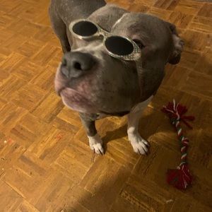 Meet your Posher, Stephan